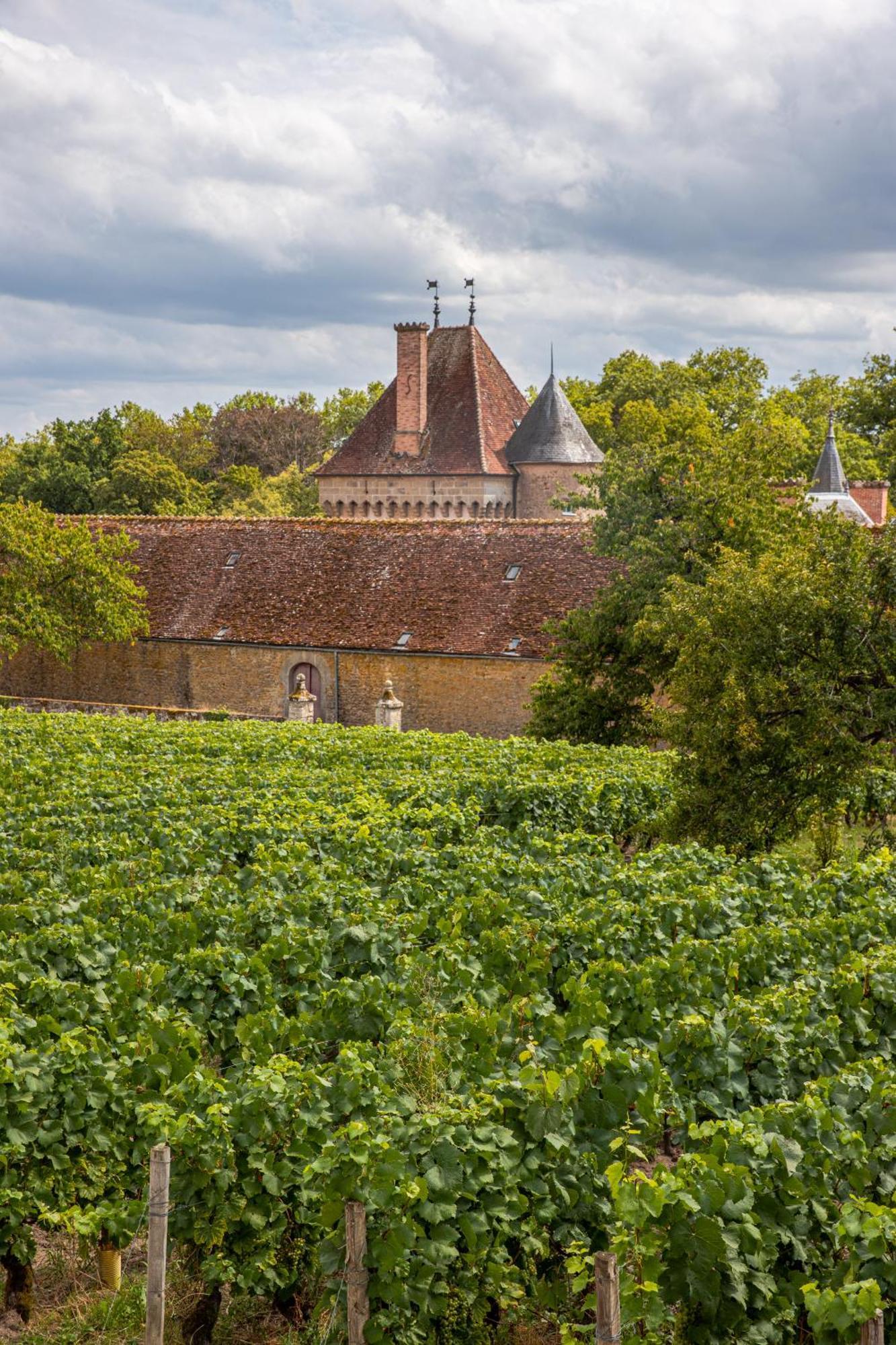 Chateau De La Grange Saint-Emiland Exterior foto